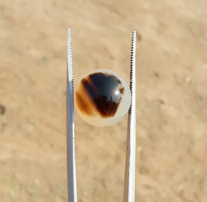 15.2ct Natural Dendritic Agate - Shajri Aqeeq -15x15mm