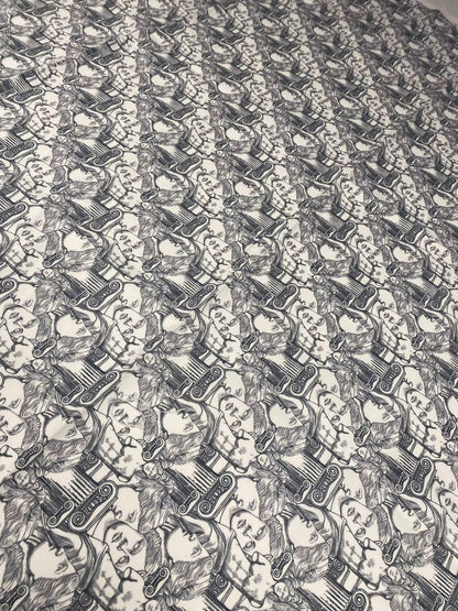 Yunan Heykel Designi Upholstery Fabric for Elegant Home Décor