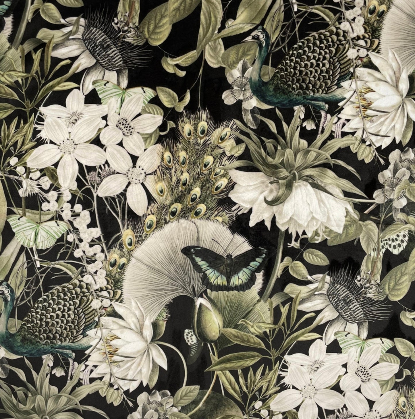 Black Peacock Butterfly Velvet Lampshade | French Drum Ceiling Light Shade | Bespoke Handmade Empire Lampshade