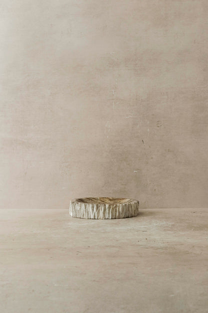 Petrified Wood Tray - 2