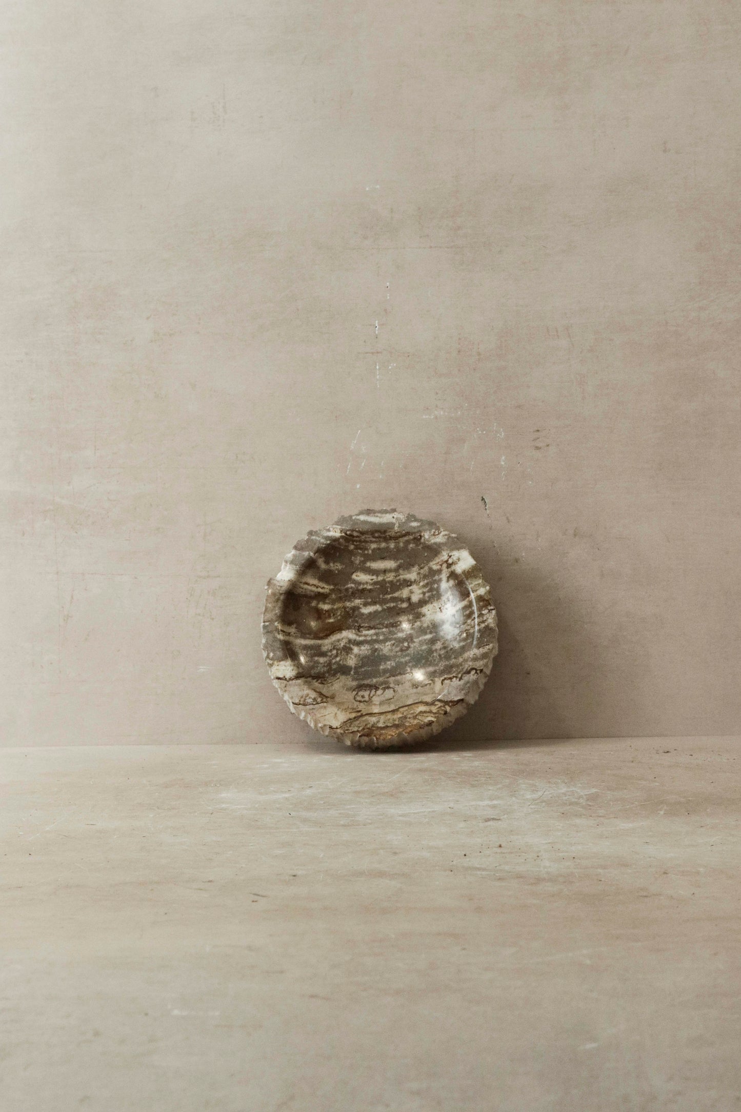 Petrified Wood Tray - 3