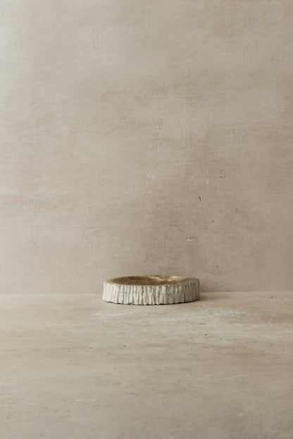 Petrified Wood Tray - 4