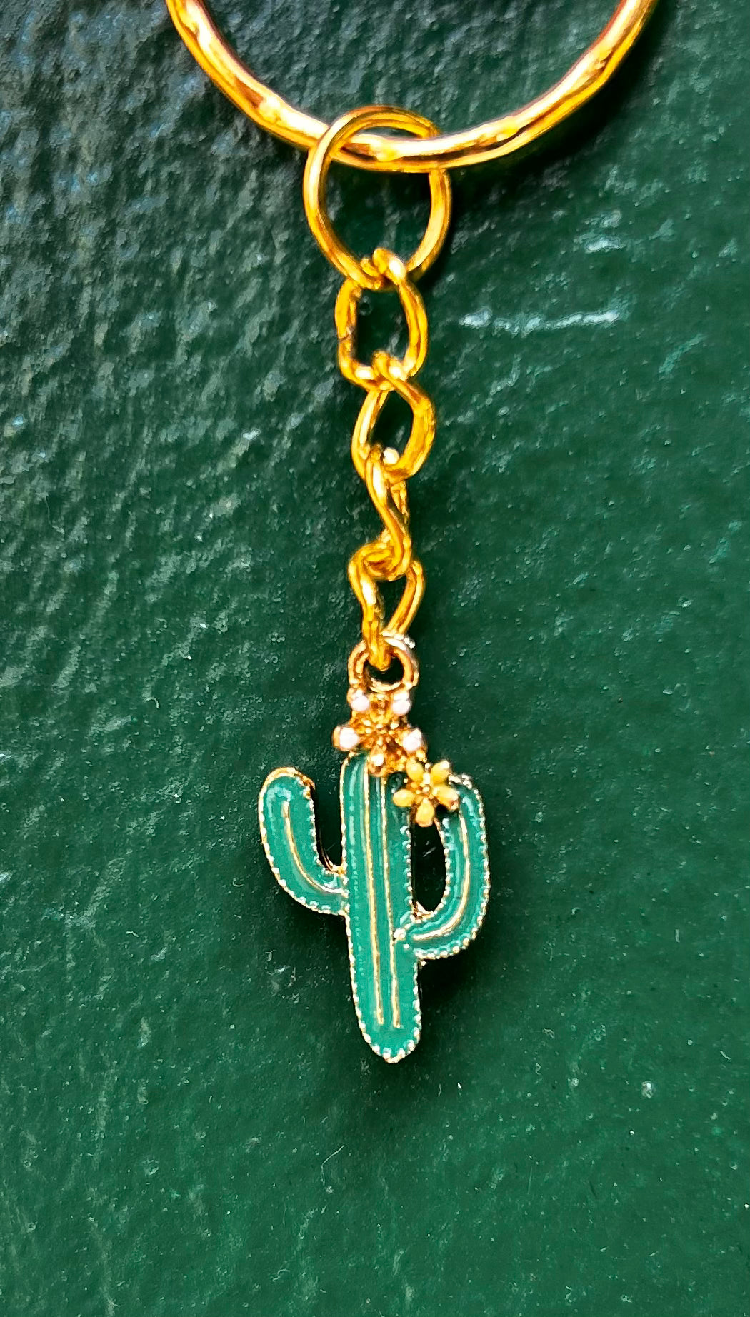 Houseplant Keyring's