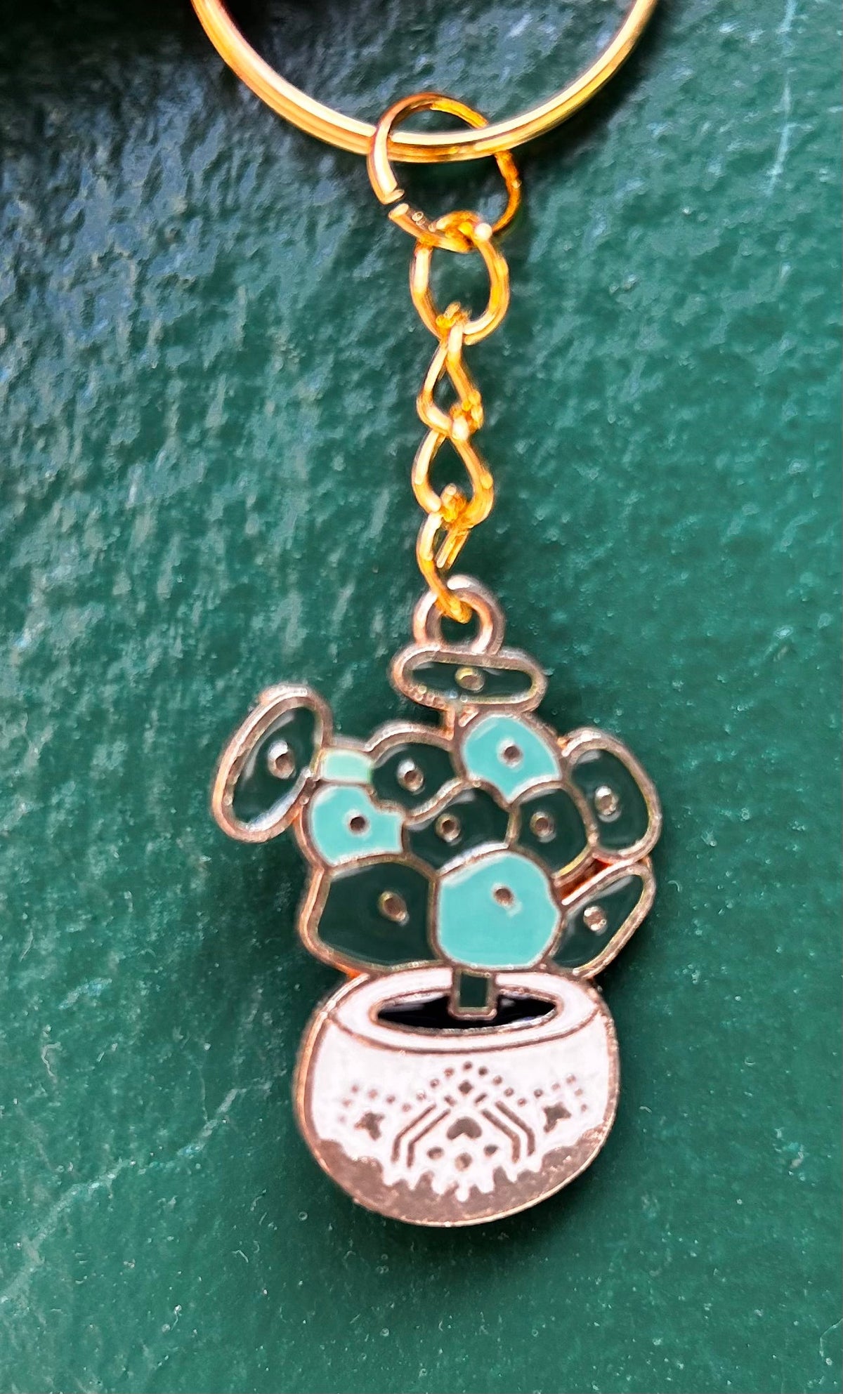 Houseplant Keyring's