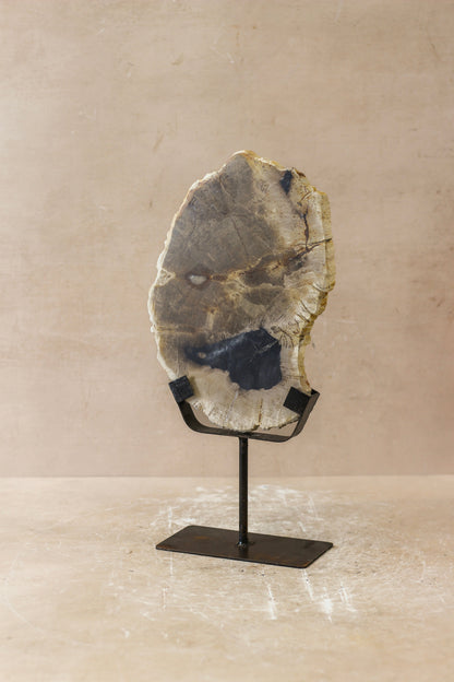Petrified Wood Display - No 2
