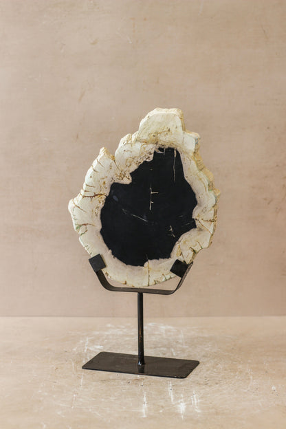 Petrified Wood Display - No 4