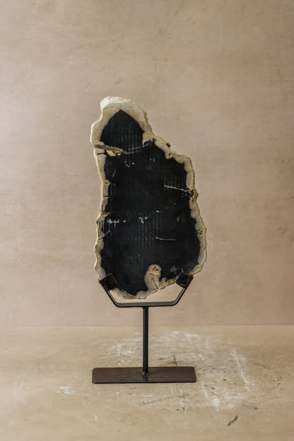 Petrified Wood Display - No 8