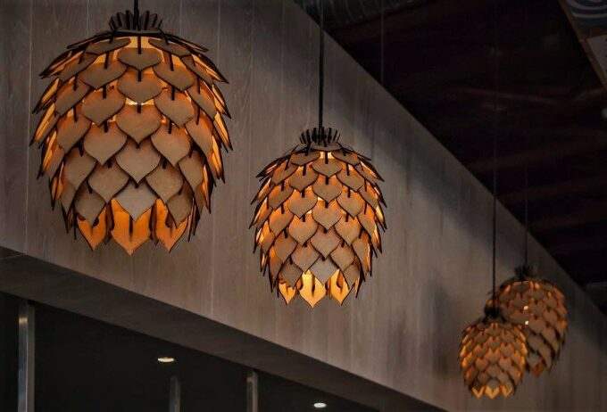 Protea Lights