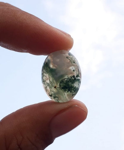 14.4ct Moss Agate - Green Moss Agate - Indian Moss Agate - 15x20mm