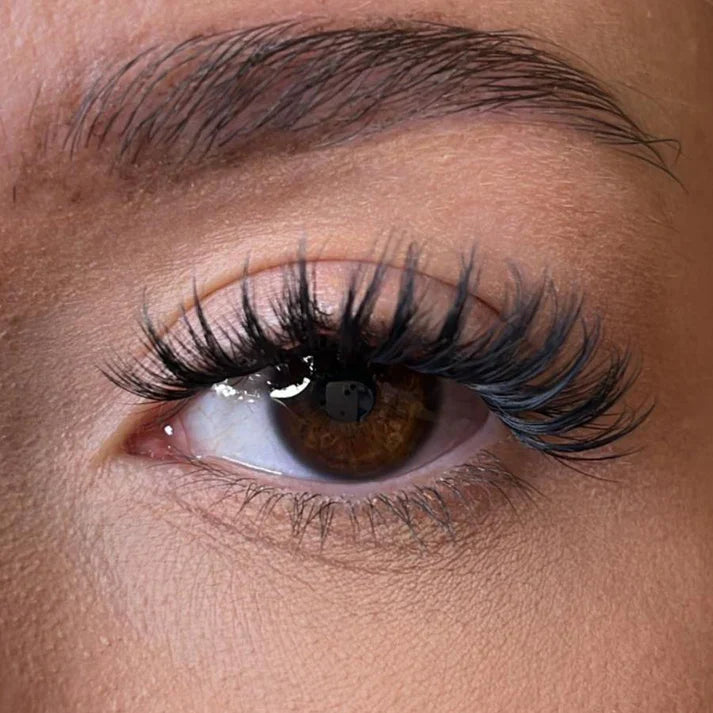 Pre-Glued Lash Clusters - No Faff Lash - Kia Original