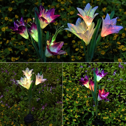 Simulated Lily Flower 4 Heads Solar Powered Outdoor IP55 Waterproof LED Decorative Lawn Lamp, White Light, White Light