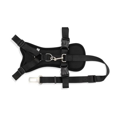 Strap Harness