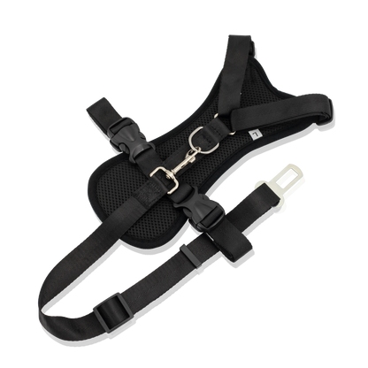 Strap Harness