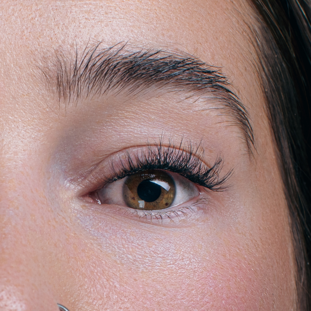 Lushy Lashes