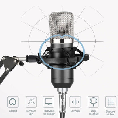 BM-700 USB Professional Condenser Microphone