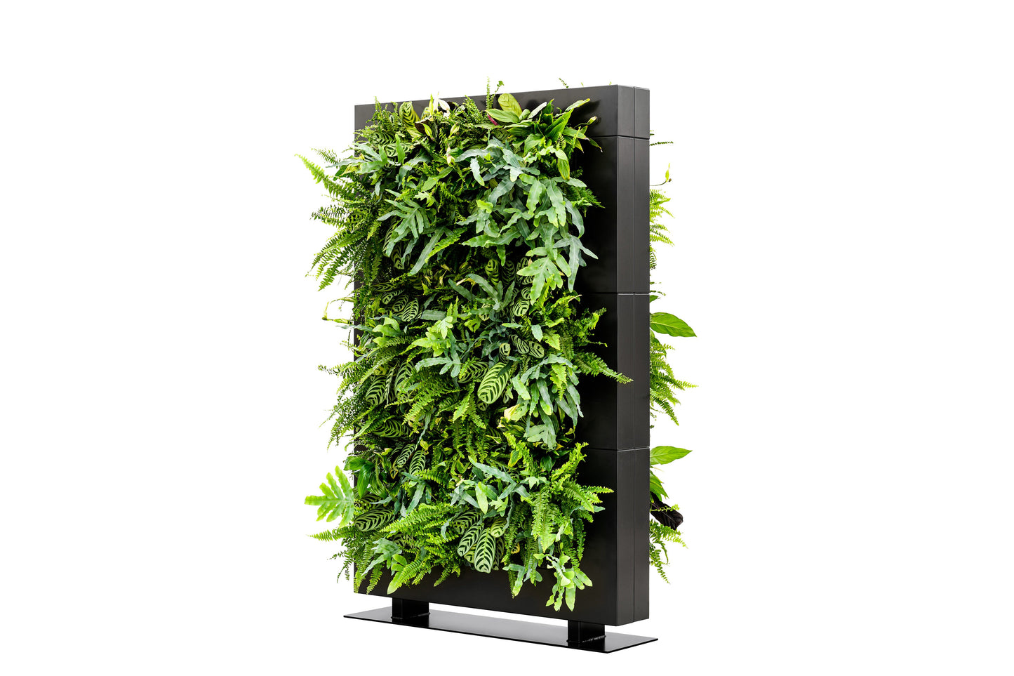 Living Wall Divider - 180.5cm - Black