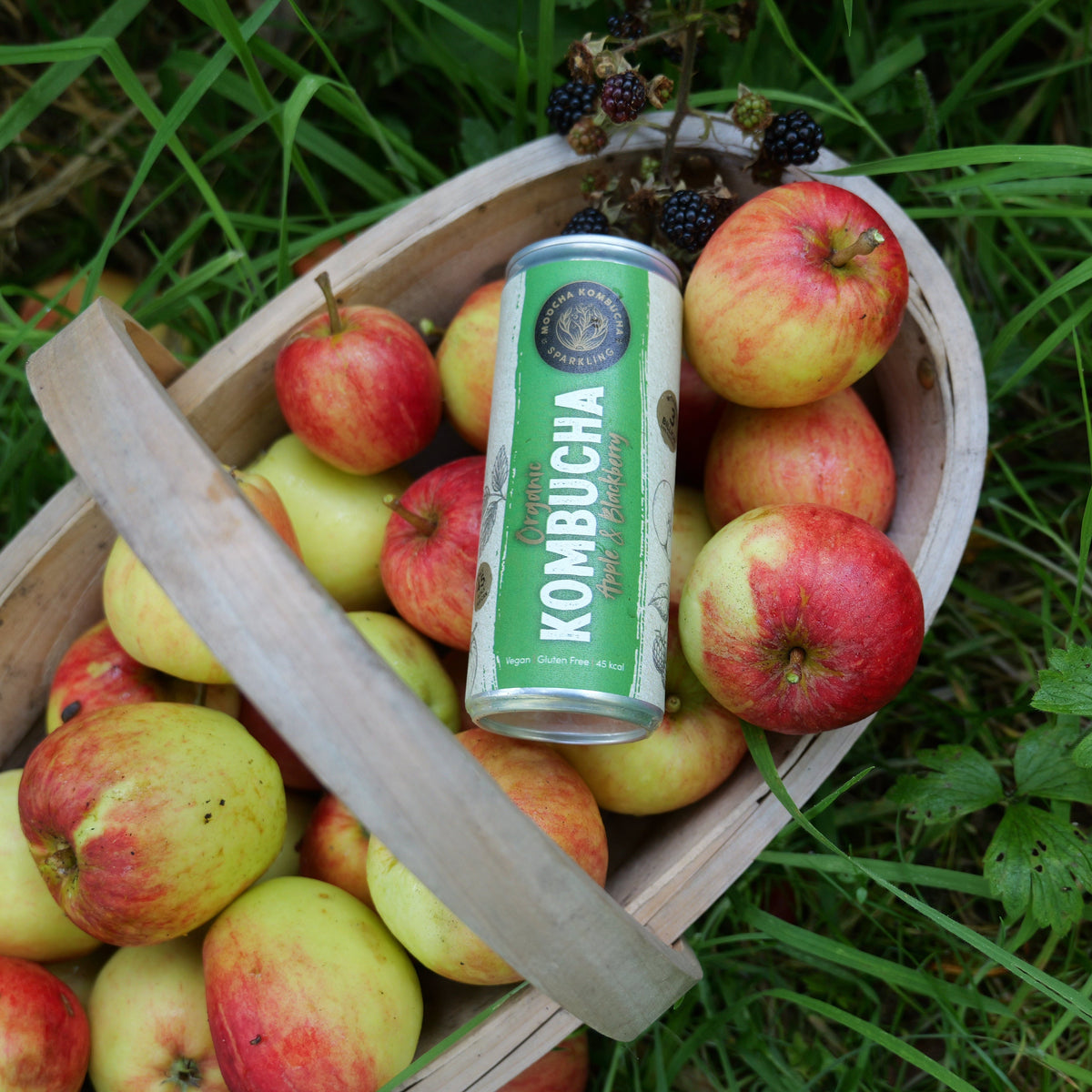 Apple & Blackberry Flavour Organic Kombucha