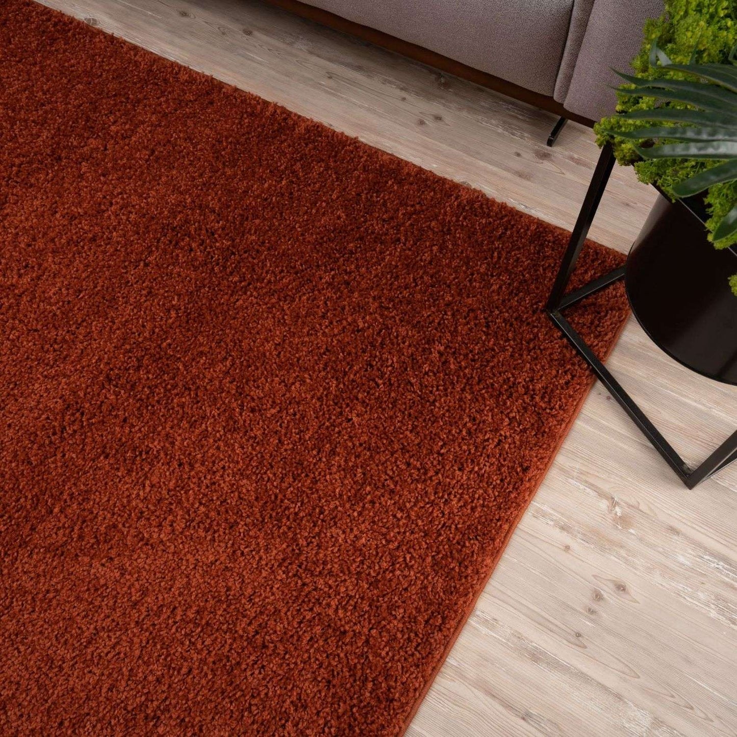 Myshaggy Solid Terra Rug