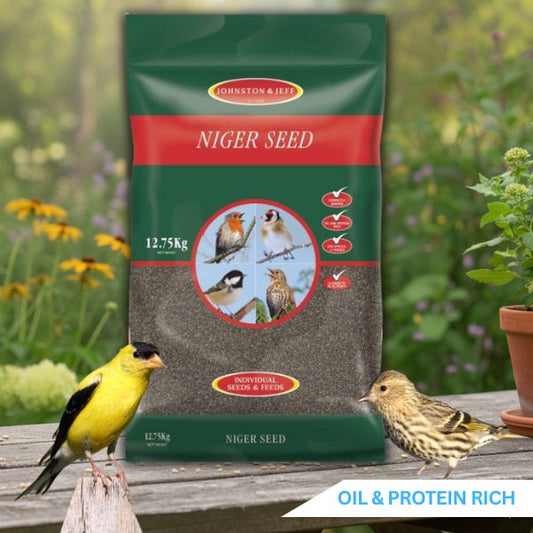 Niger Bird Seed