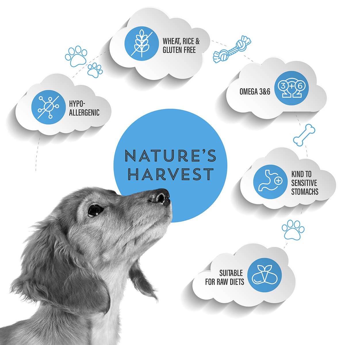 Cold Pressed Ocean Fish and Sweet Potato 3KG Hypoallergenic Dog Food - Raw Made Easy