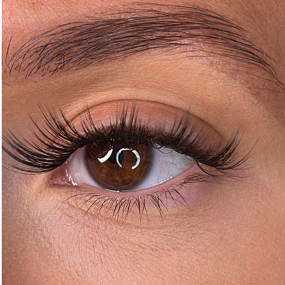 Nola - 'D' Curl Lash Ribbons®