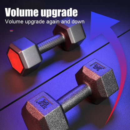 10KG Red Seal Household Glue Fitness Hexagon Dumbbells, 10KG