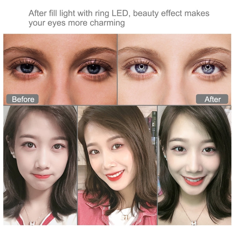 PULUZ 11.8 inch 30cm RGBW Light + 1.65m Mount + Dual Phone Brackets Curved Surface RGBW Dimmable LED Ring Selfie Vlogging Light  Live Broadcast Kits with Cold Shoe Tripod Adapter & Phone Clamp & Remote Control, 11.8 inch RGBW+1.65m Tripod+Dual Bracket