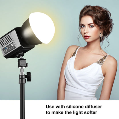 PULUZ 60W Studio Video Light 2500K-6500K Dual Color Temperature Professional Photography Fill Light, 60W Studio Video Light