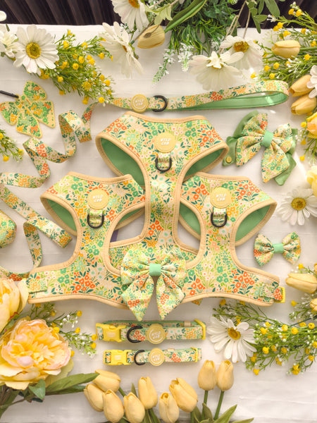 Wyld Cub - Dog Butterfly Bow Tie: Notting Hill Lemongrass