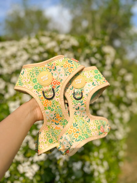 Wyld Cub - Adjustable Dog Harness: Notting Hill Lemongrass