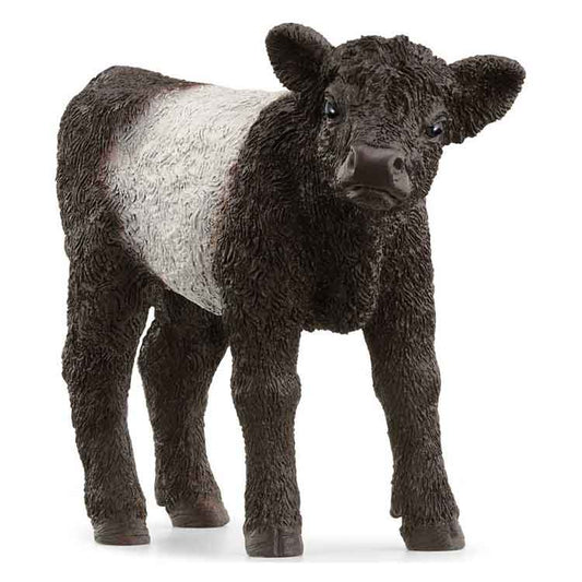 Schleich Galloway Calf