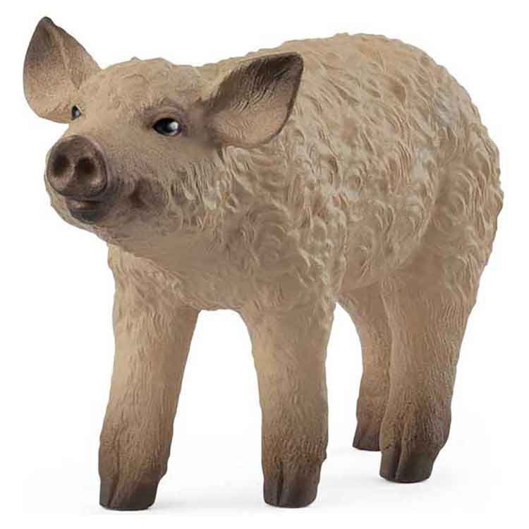 Schleich Mangalica Piglet