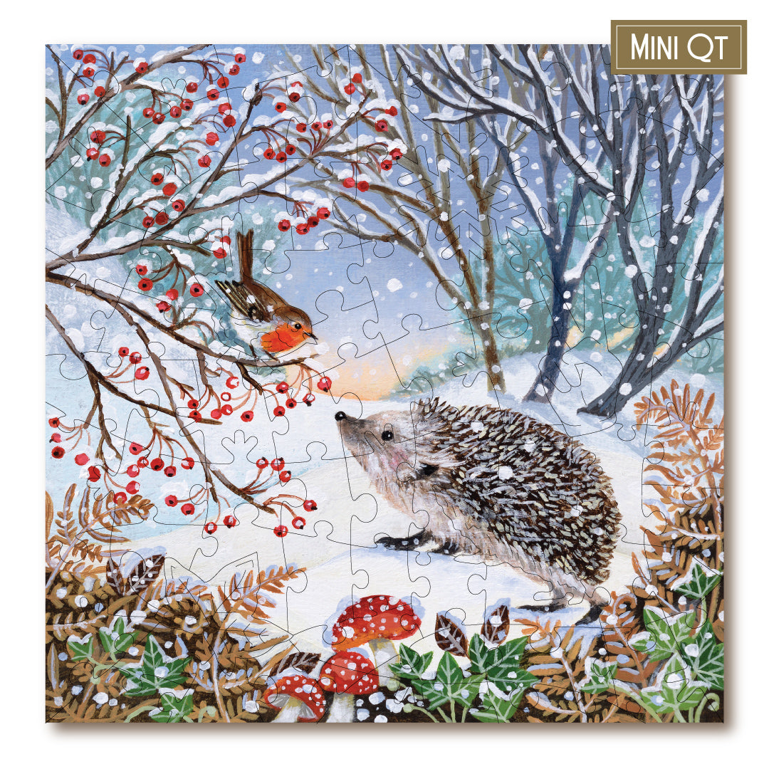 Snowy Hedgehog & Robin MINI QT