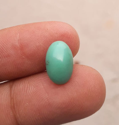 Natural Light Green Turquoise - Persian Qalmi Feroza - Green Feroza - 4.3ct- 13x8mm