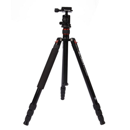 Triopo MT-2504C Adjustable Portable Aluminum Tripod with NB-1S Ball Head for Canon Nikon Sony DSLR Camera, MT-2504C (Black), MT-2504C (Gold)