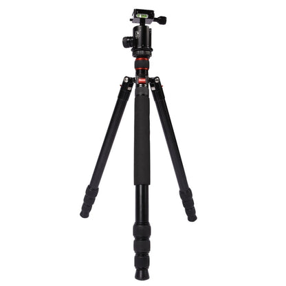 Triopo MT-2804C Adjustable Portable Aluminum Tripod with NB-2S Ball Head for Canon Nikon Sony DSLR Camera, MT-2804C (Black), MT-2804C (Gold)