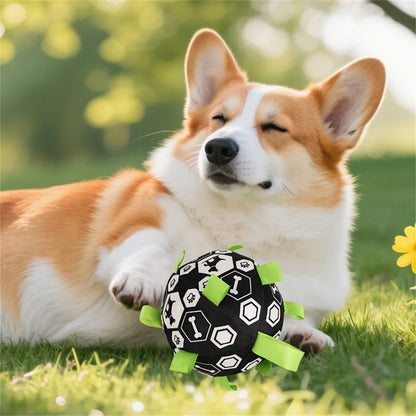 Interactive Dog Bell Ball Toy – Soft Fleece Training & Play Football