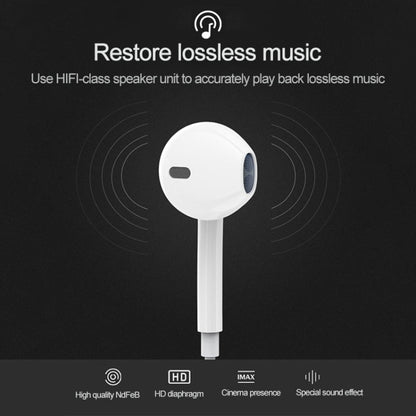 USB-C / Type-C Interface In Ear Wired HiFi Mega Bass Earphone with Mic