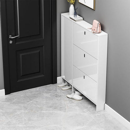 Knauss Mirrored Shoe Storage, Halllway