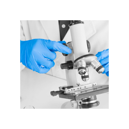 Shield GD19 Blue Nitrile PF Disposable Glove (10 x 100)