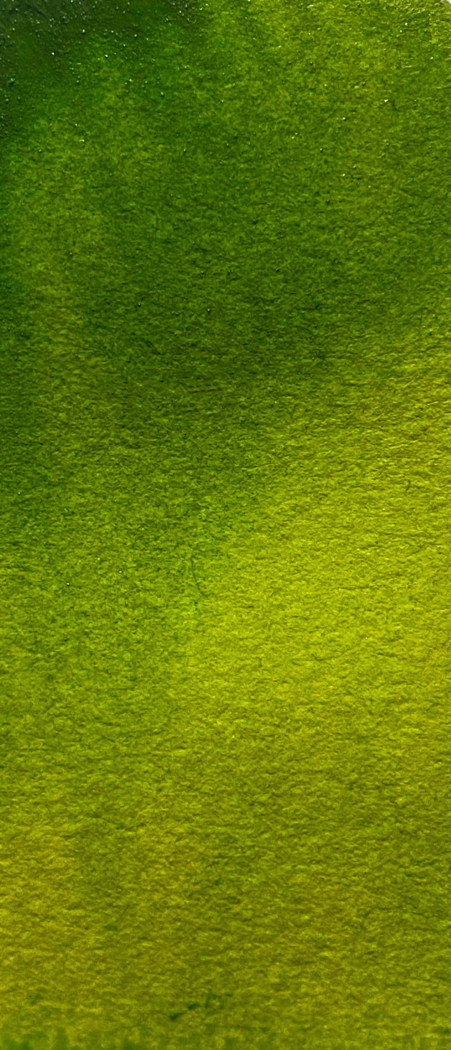 Sap Green