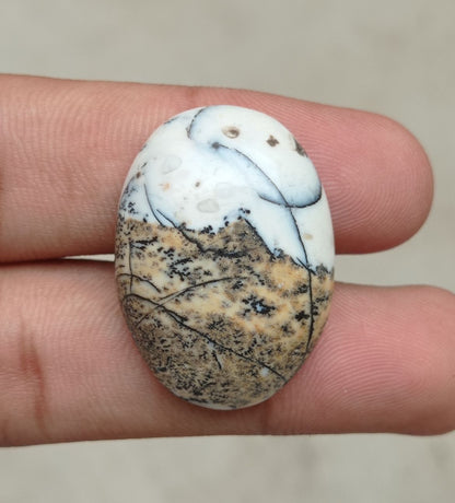 42.2ct Jasper - Scenic Jasper Cabochon - 32x23x7mm
