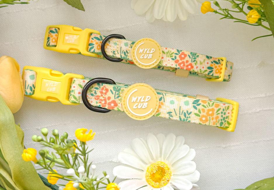 Wyld Cub - Adjustable Dog Collar: Notting Hill Lemongrass