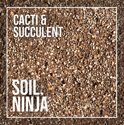 Cacti and Succulent Blend - Soil Ninja