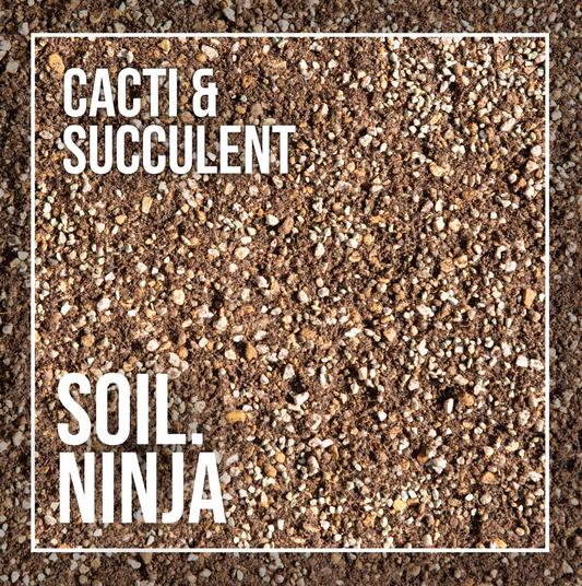 Cacti and Succulent Blend - Soil Ninja