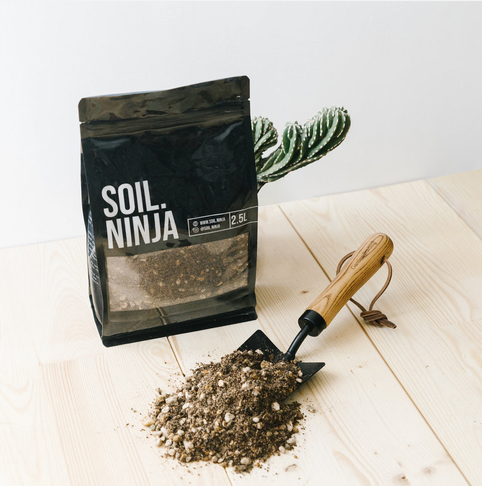 Cacti and Succulent Blend - Soil Ninja