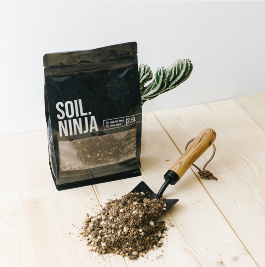 Cacti and Succulent Blend - Soil Ninja