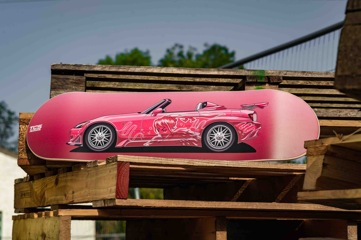 Suki's 2 F and 2 Finspired Skate Deck Wall Art