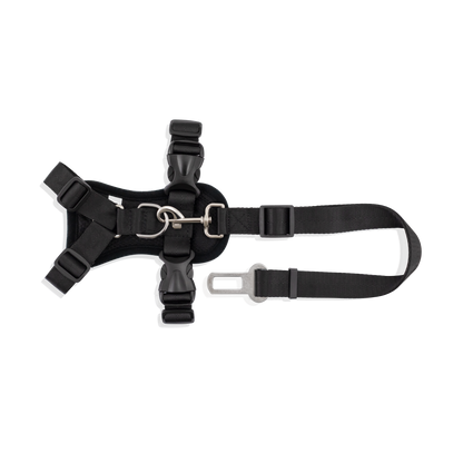Strap Harness