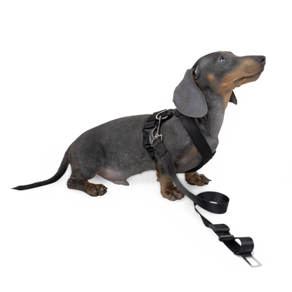 Strap Harness
